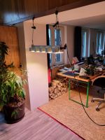 Growth Lampen, LED Wachstumslampen, Anzuchtlampen. Sparsam