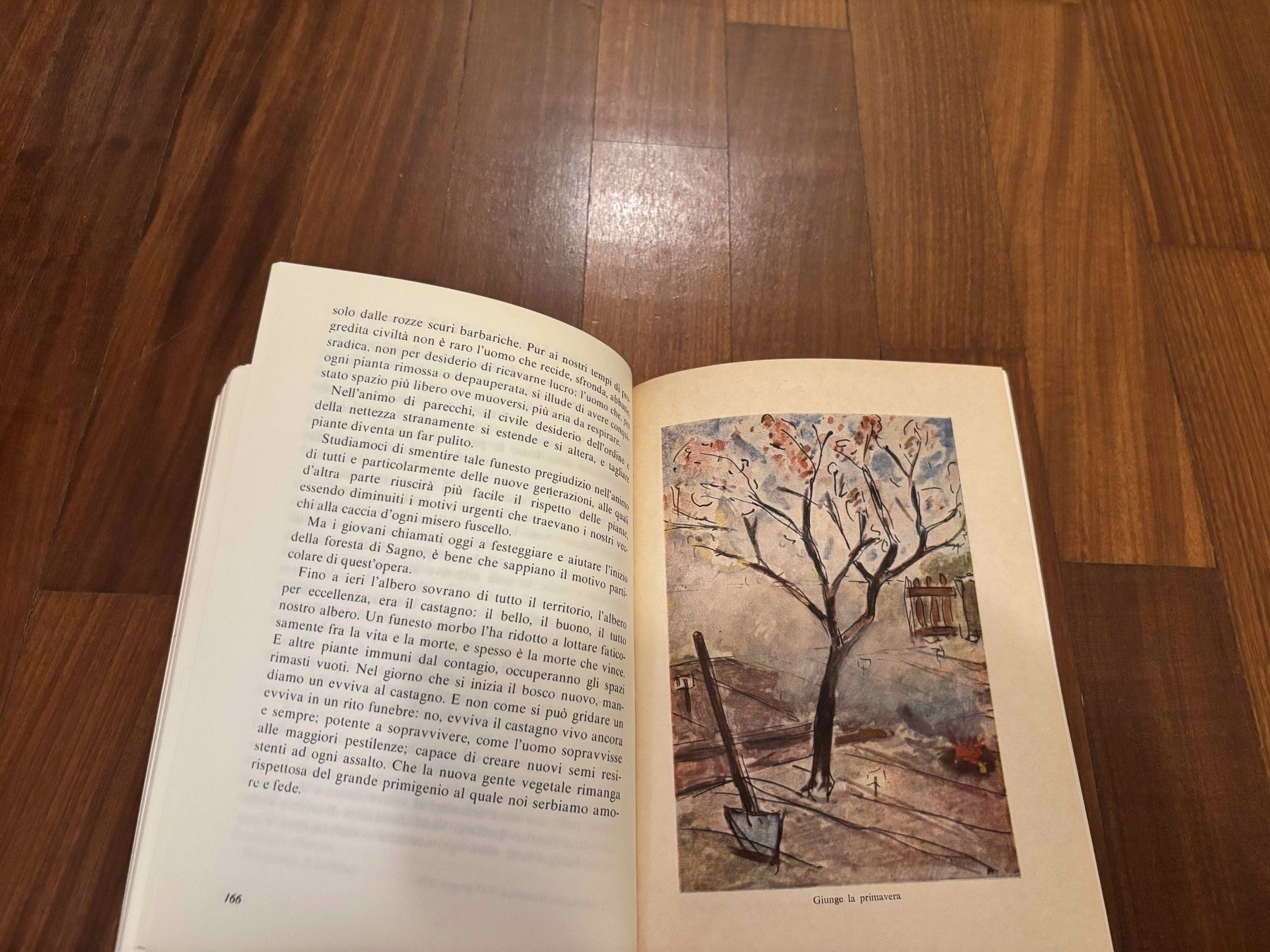 Bücher: Su e giù per il Ticino – Gebraucht aus Lugano von Mark_Young 2