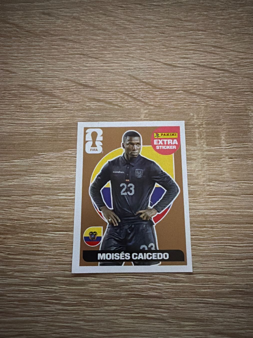 Panini Cartes à collectionner: Panini WM extra moisés Caicedi – D'occasion à Zürich par sla_xzv9
