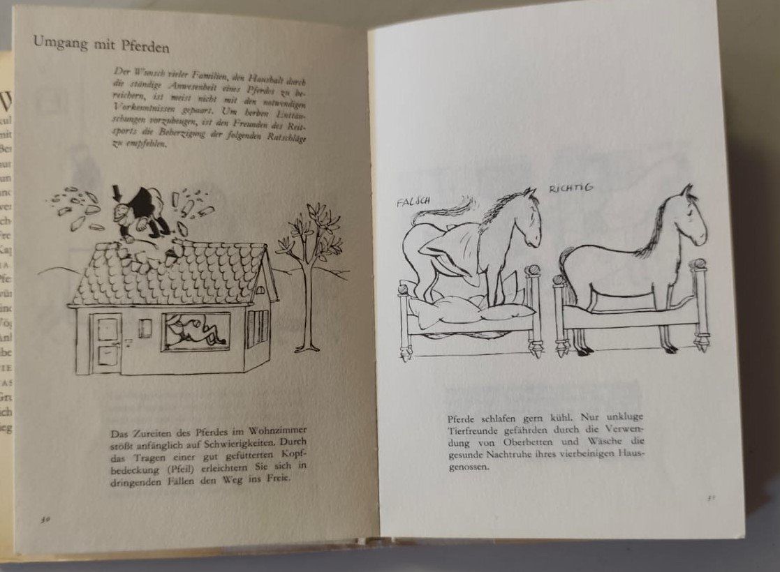 Libri: Buch: Loriot – Umgang mit Tieren – Usato da Gelterkinden venduto da rofank68 2