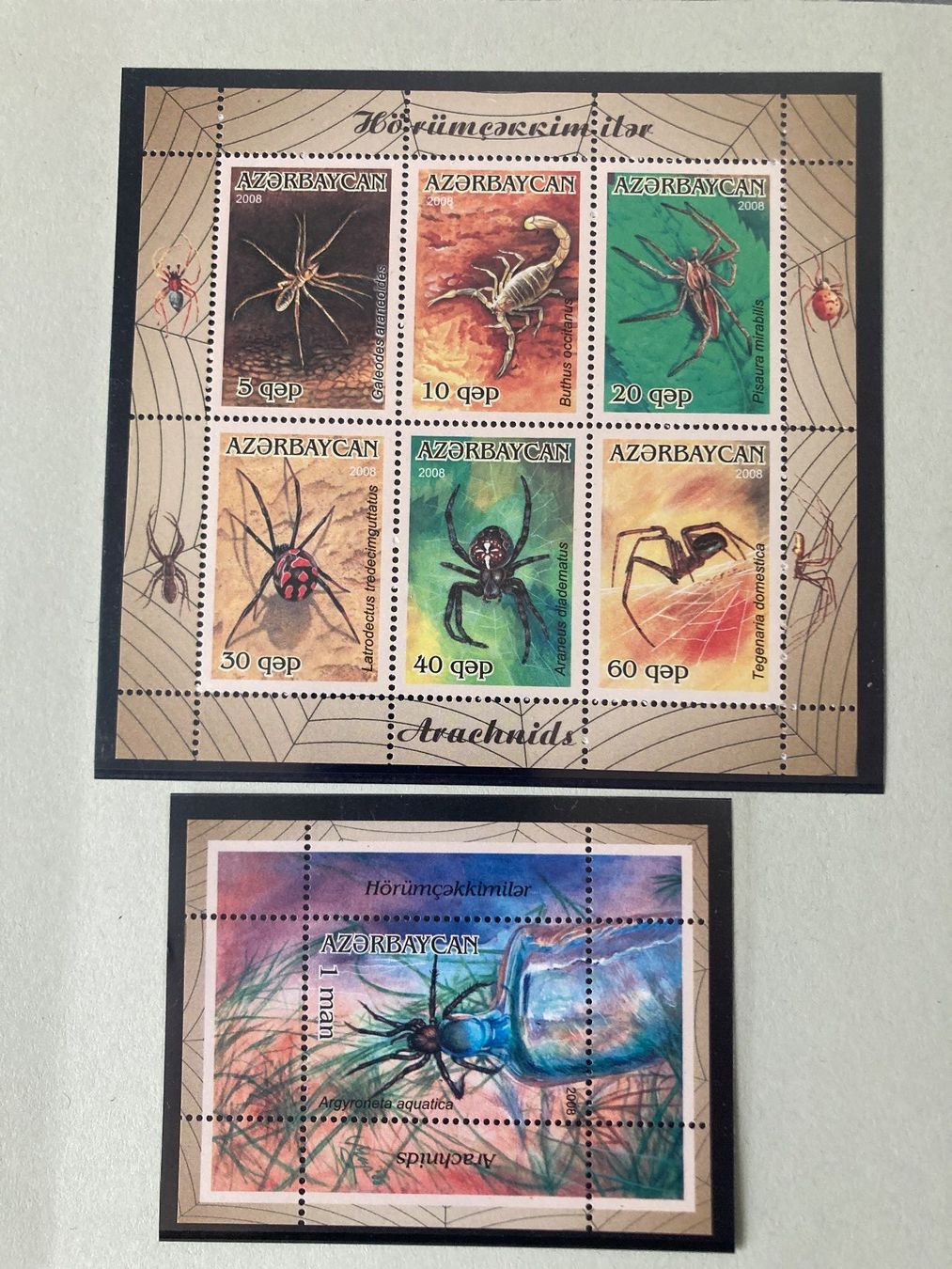 Alle Briefmarken: Aserbaidschan 2008 Arachnids SPINNENTIERE KB + BLOCK** – Neu (gemäss Beschreibung) aus Erlach von Schaliko