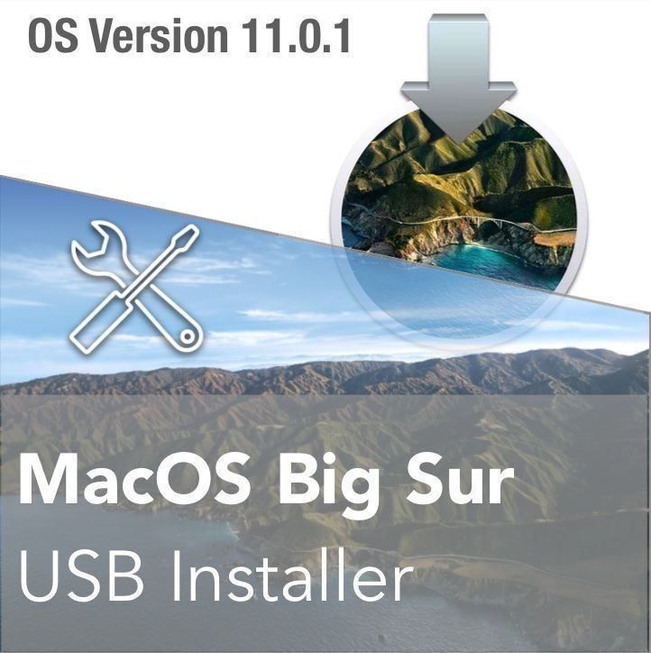 MacOS Big Sur - Disk 11.0.1 (Neu und originalverpackt) in Sempach ...