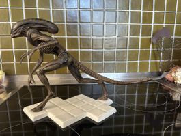 Dog Alien 3 Modell not Giger Hot Toys Sideshow Replika