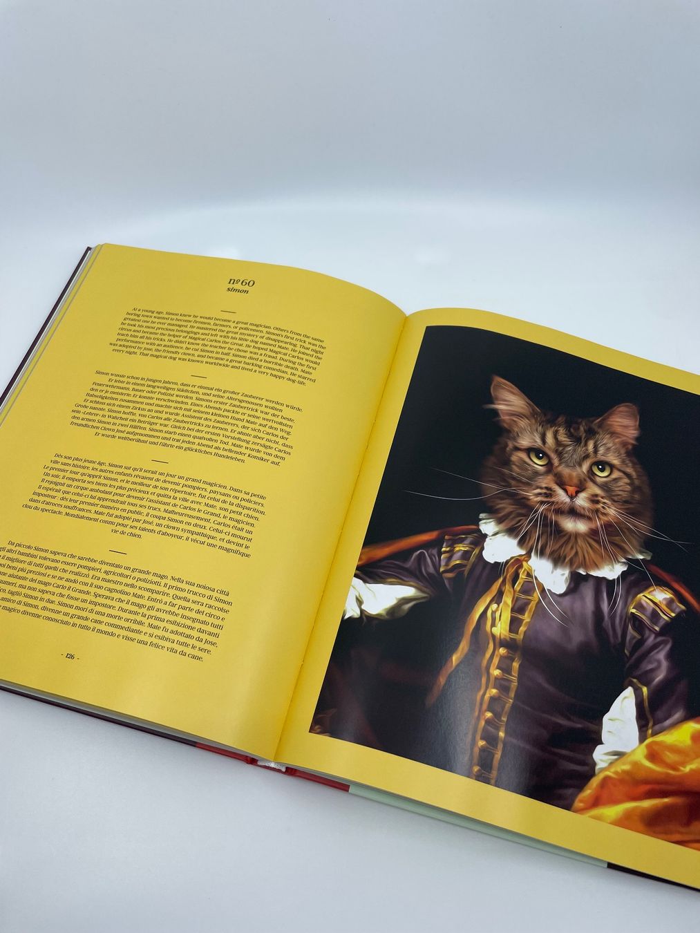 Libri: CAT - by Tein Lucasson – Nuovo (secondo la descrizione) da Pfeffingen venduto da Paco1991 5
