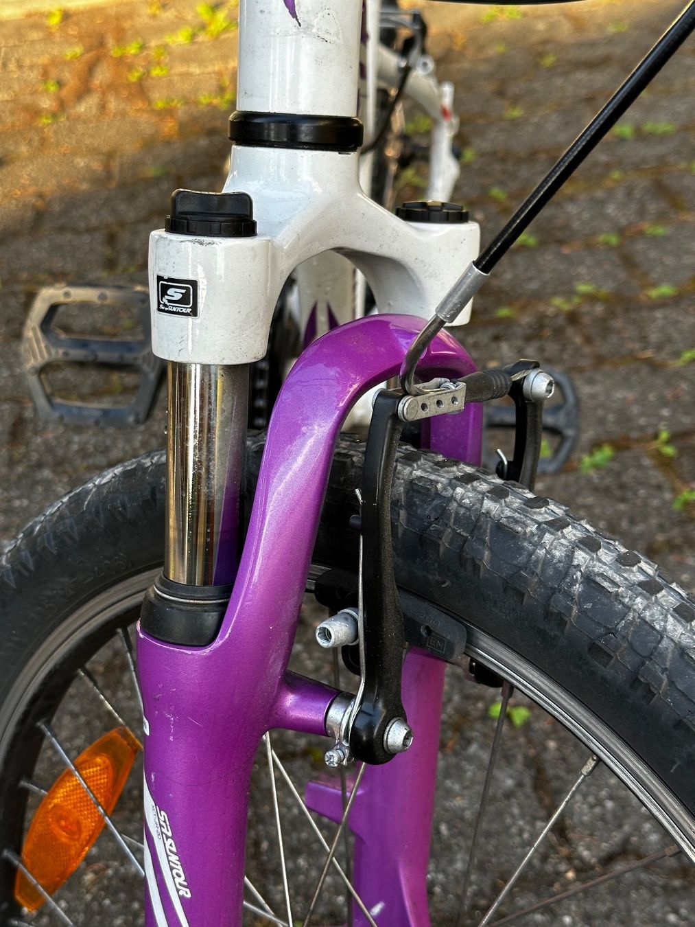 Veicoli per bambini: Kinderfahrrad Specialized 20 – Usato da Zürich venduto da Danijar7 2