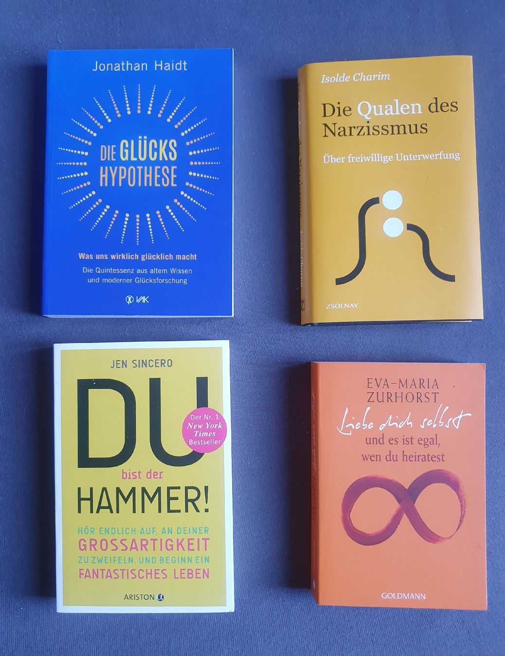 Libri: Selbsthilfe- Bücherpaket – Usato da Wimmis venduto da hel_m26m