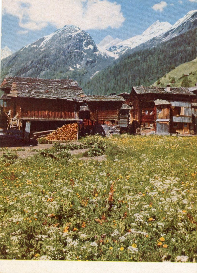 Cartoline postali: Lötschental   VS    -    Häusergruppe – Usato da Brig venduto da Valcards54