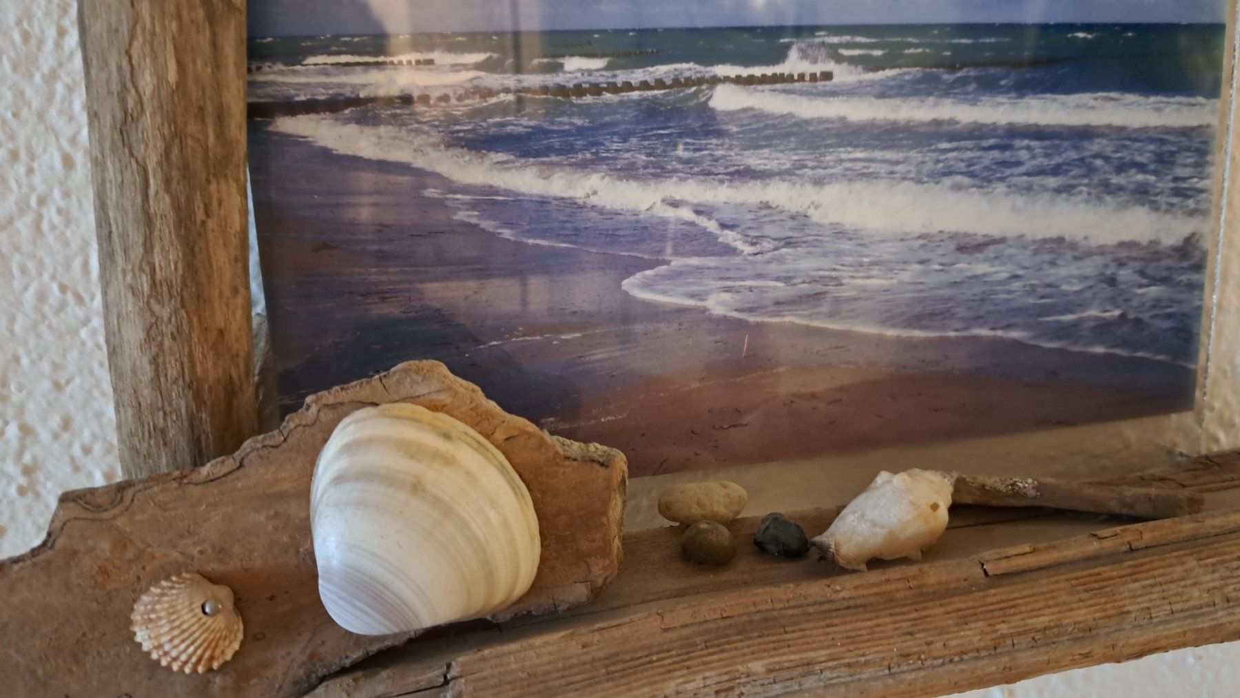 Foto & Immagini: Schwemmholzbilder – Usato da Kleindöttingen venduto da Strandgut88 2