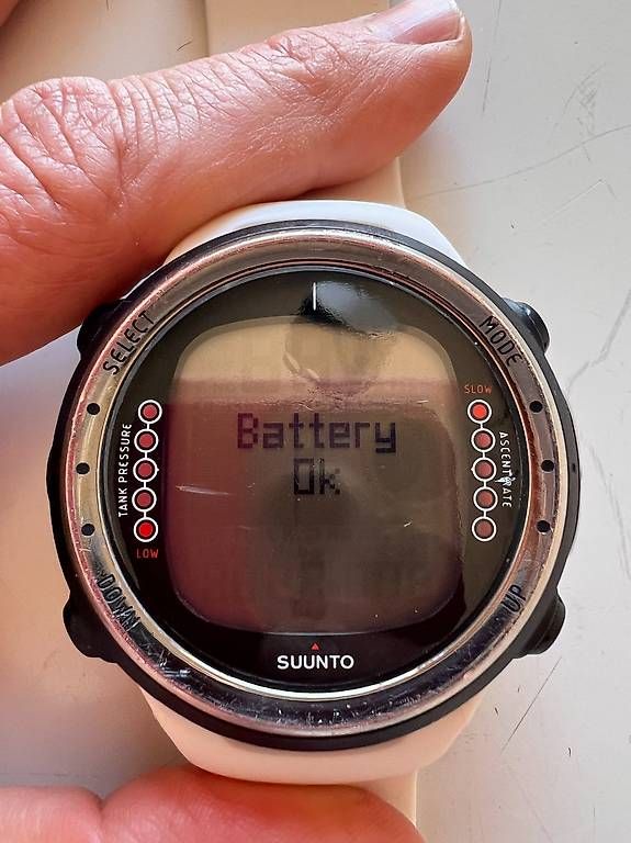Uhren: Tauchcomputer Suunto D4i – Gebraucht aus Zürich von narita_gomez 1