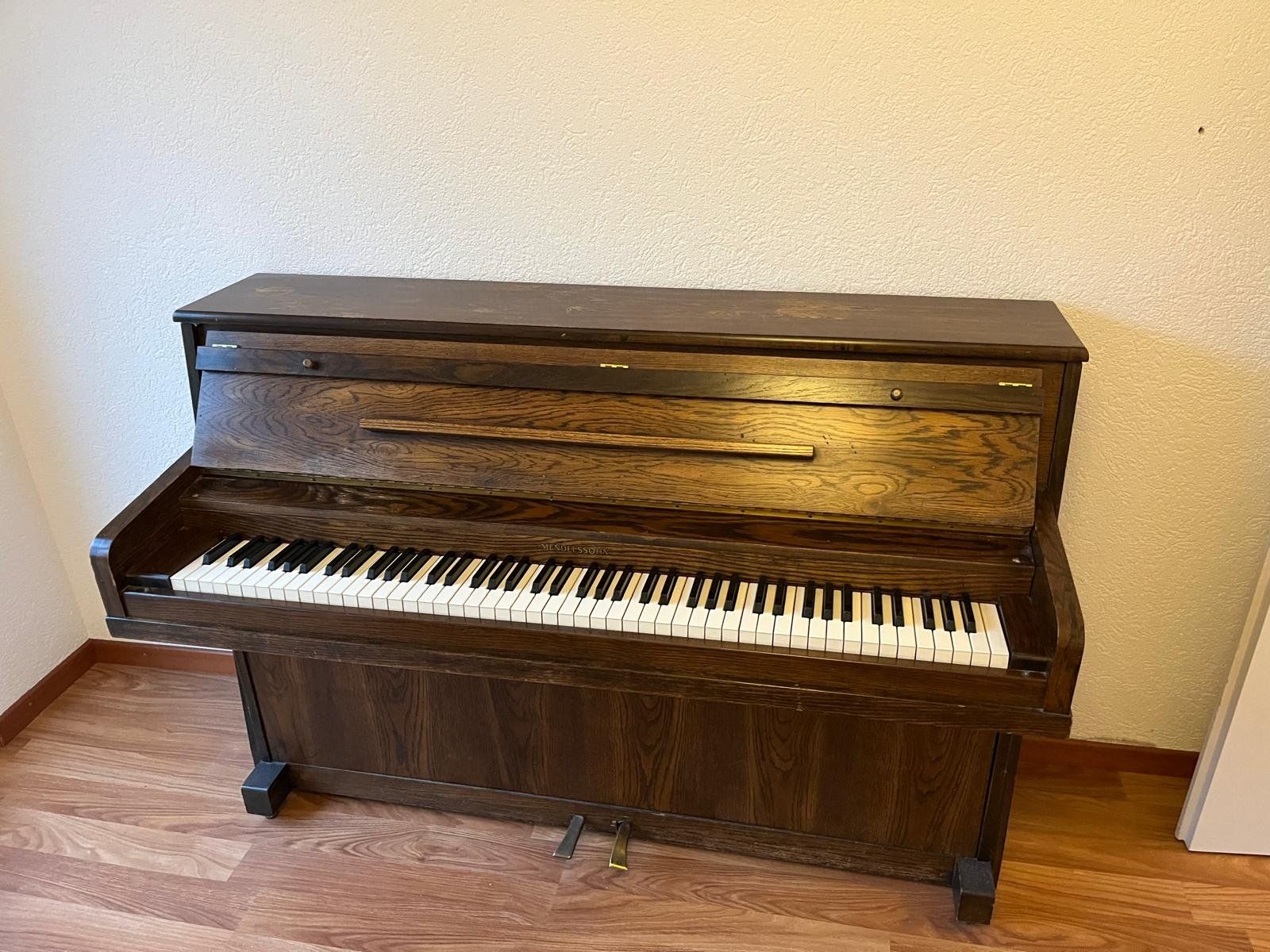 Instruments de musique: Elektrisches Klavier gebraucht – D'occasion à Mettmenstetten par chr_8b7s
