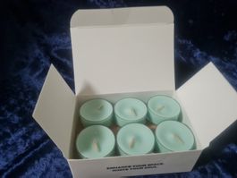PartyLite - 12 Teelichter Seagrass Eucalyptus