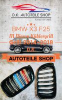 BMW F25 X3 Nieren M Doppelspeichen Kühlergrill für M Color