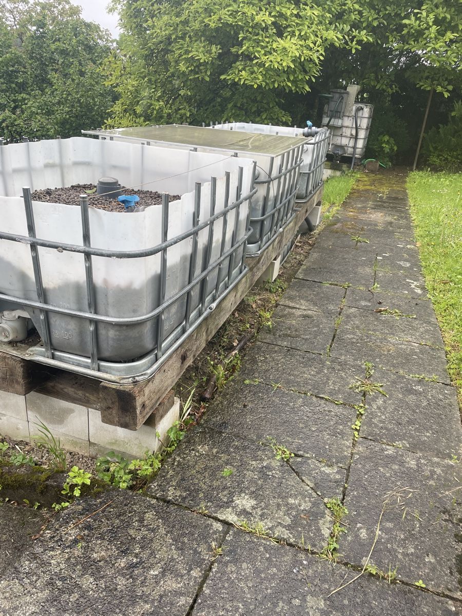 Altro: Aquaponic Anlage – Usato da Möriken AG venduto da Sammler06 3
