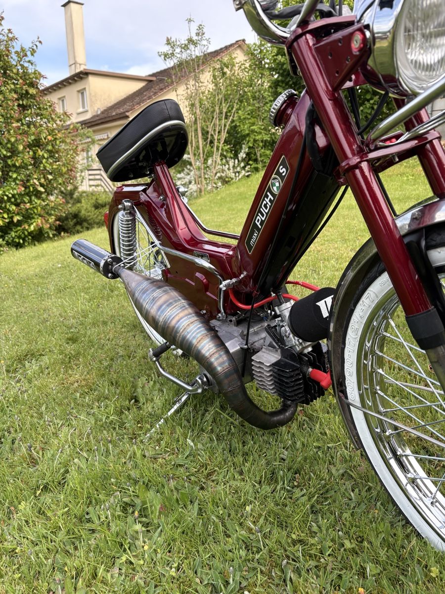 Puch Ciclomotori: Puch Maxi S – Usato da Amlikon-Bissegg venduto da PiotrB01 6