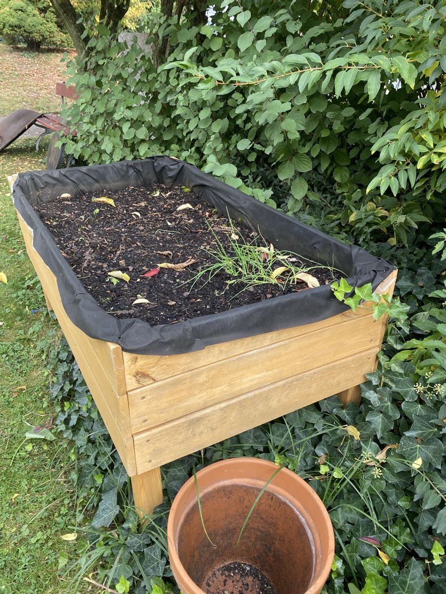 Auflagenboxen: Hochbeet – Gebraucht aus Brüttisellen von Guzzi010