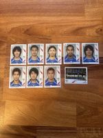 Panini WM 2006 Deutschland Sticker - Top Zustand! 49 Stk.