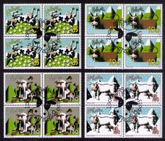 2006_1198-1201_KÜHE_Schweiz_Sicht ausländischer Künstler_ET!