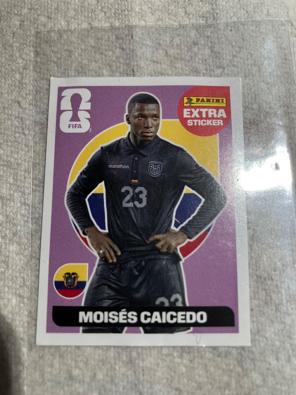 Panini Cartes à collectionner: Panini Extra Sticker Moises Caicedo – D'occasion à Pully par suomibafio