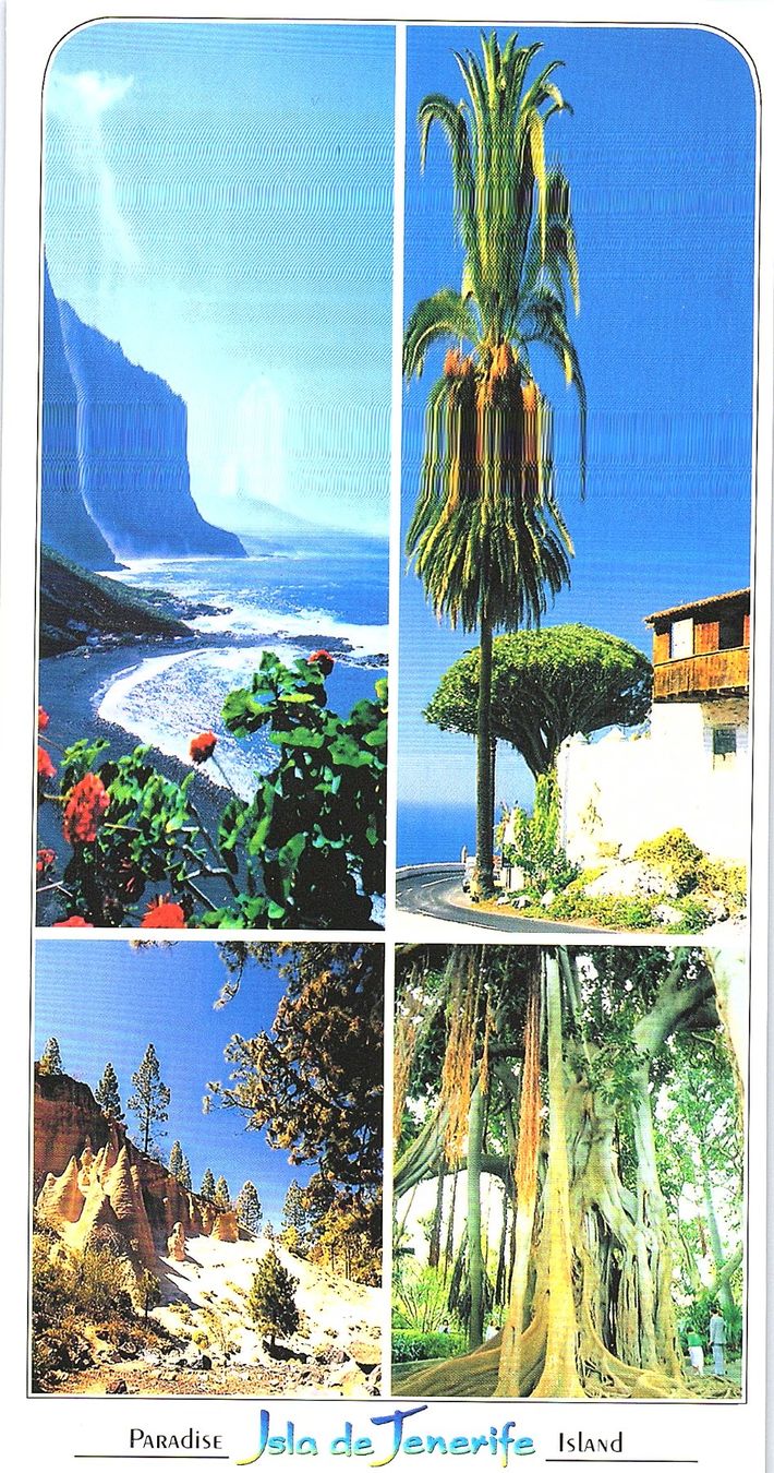 Ansichtskarten: AK Isla de Tenerife 7 Ansichtskarten neu – Neu (gemäss Beschreibung) aus Würenlos von KKMeister 4