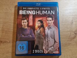 Being Human - Staffel 1 RAR Bluray