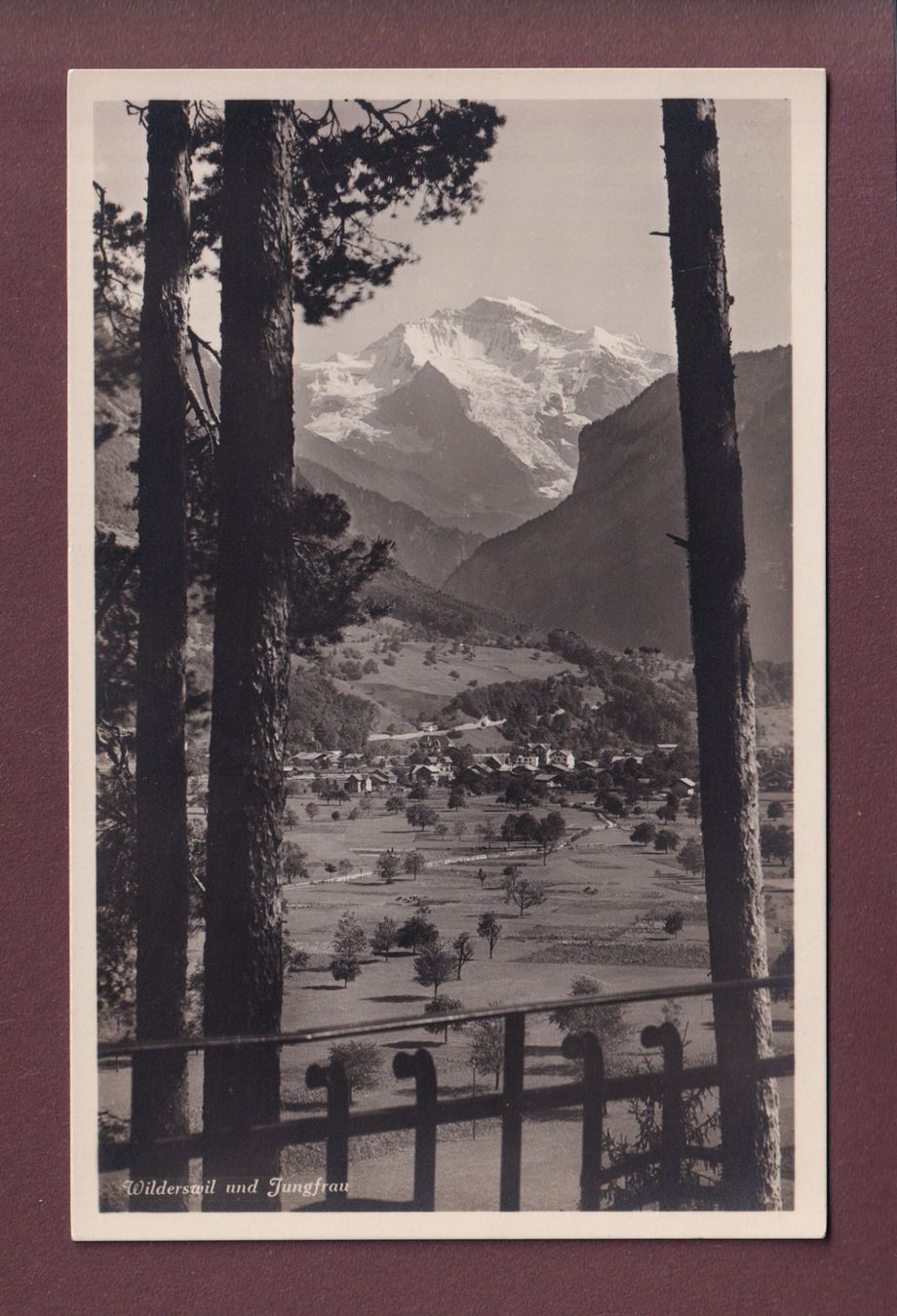 Cartoline postali: WILDERSWIL - Jungfrau – Usato da Pully venduto da nicecards