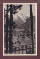 WILDERSWIL - Jungfrau