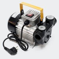 Selbstansaugende Dieselpumpe 20-60l/min