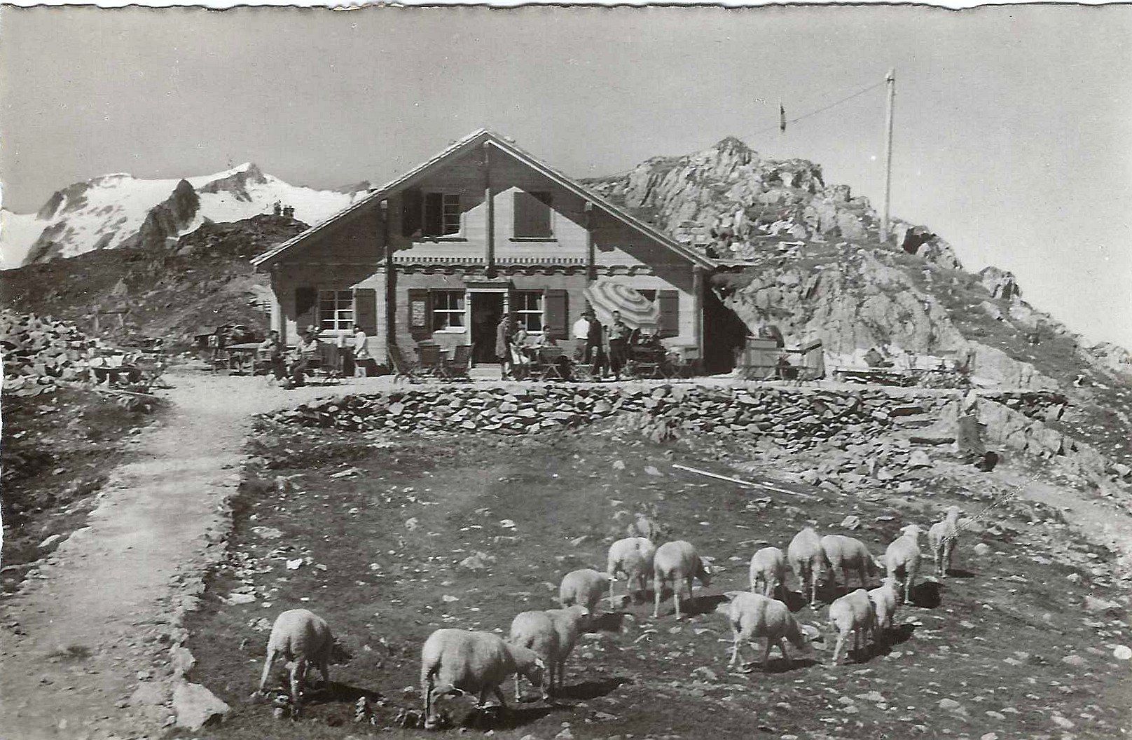 Cartoline postali: Restaurant Susten-Passhöhe – Usato da Buchs AG venduto da Baerfisch