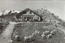 Restaurant Susten-Passhöhe