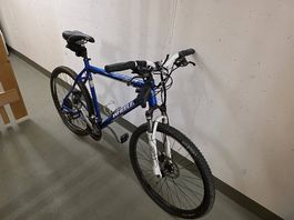 Wheeler Pro 29 Mountainbike 29 Zoll gepflegt