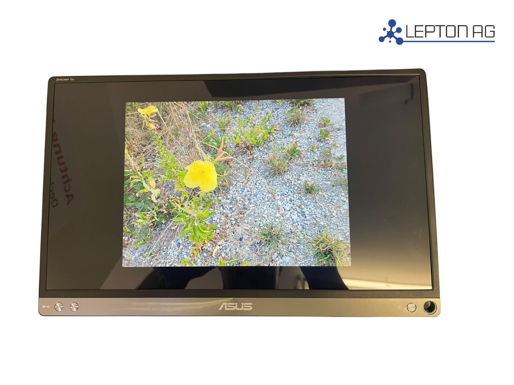 Asus Ecrans: Asus ZenScreen Go MB16AP – D'occasion à Niederdorf par LeptonAG
