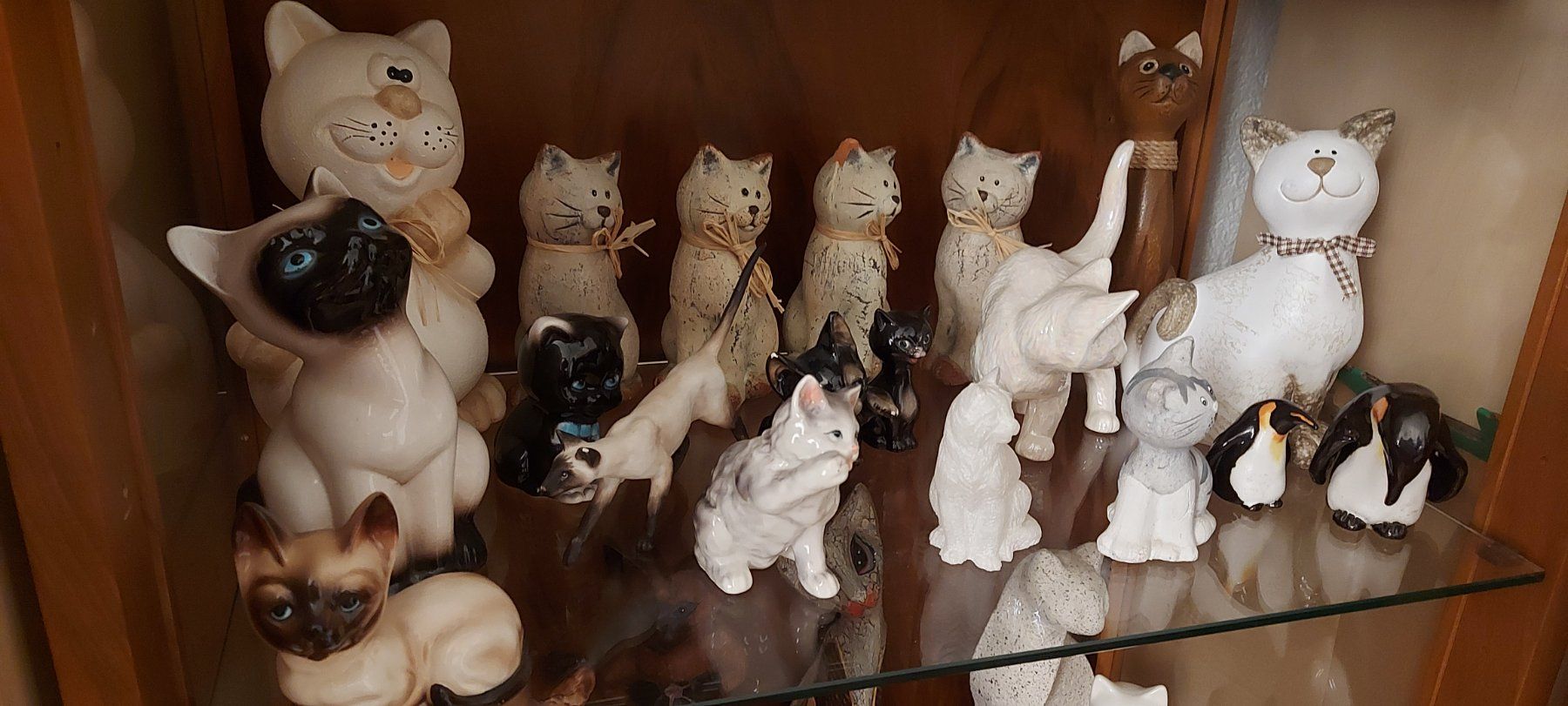 Vitrinen: Vitrine! – Gebraucht aus Rehetobel von Suejoe 3