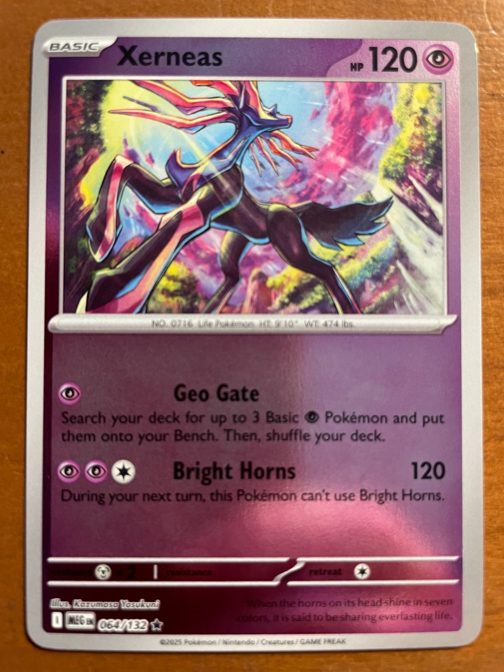 Pokémon Carte collezionabili: Pokemon Xerneas Reverse (Versand gratis) – Nuovo (secondo la descrizione) da Chur venduto da Angerson
