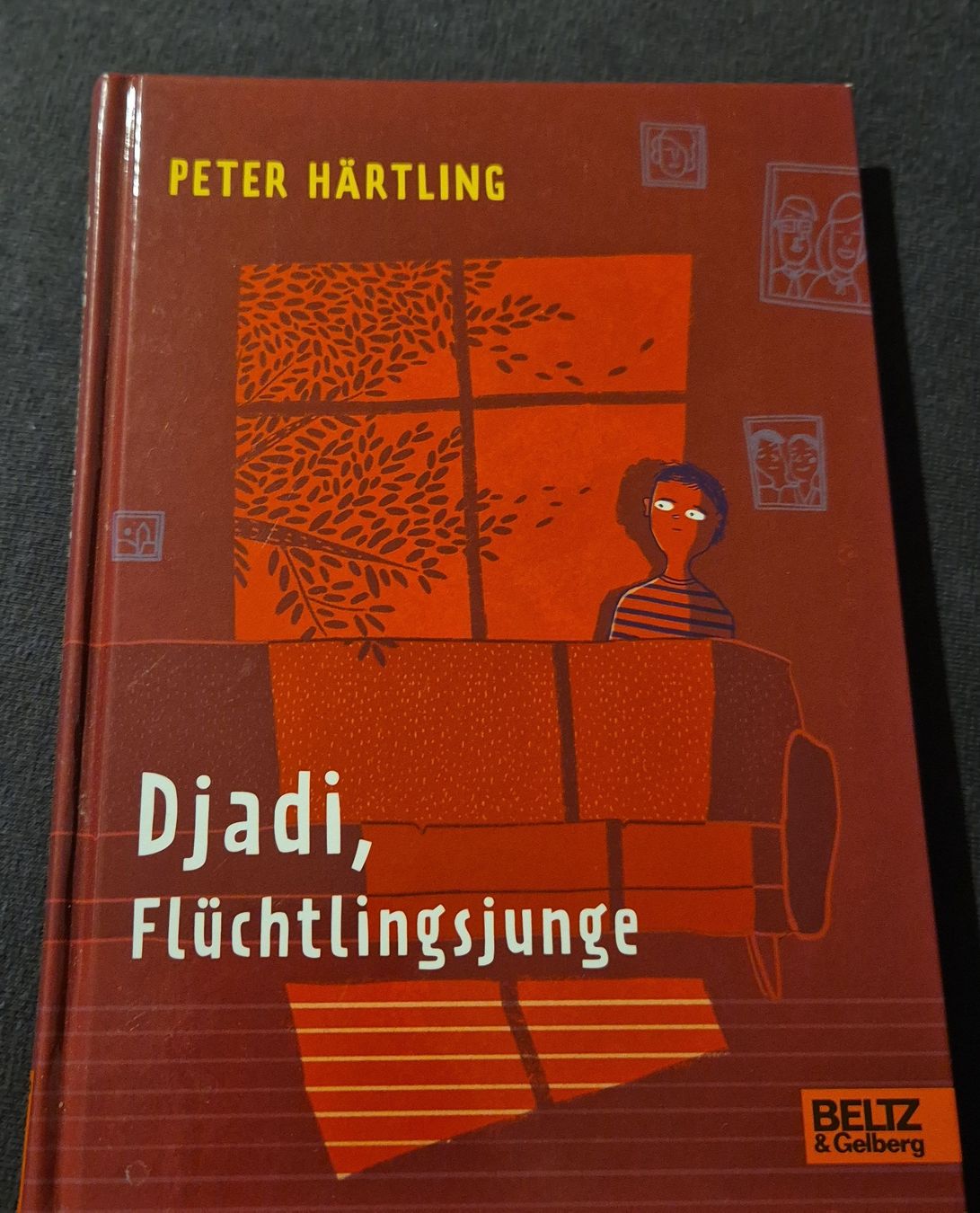 Libri: Djadi, Fluechtlingsjunge - Peter Haertling Jugendbuch – Usato da Nürensdorf venduto da luc_9ksf