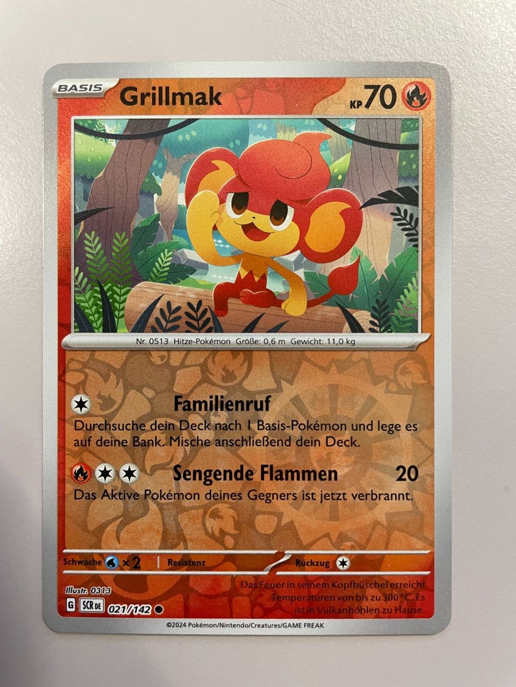 Pokémon Carte collezionabili: Pokemon Grillmak (Versand gratis) – Nuovo (secondo la descrizione) da Chur venduto da Angerson