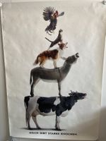Plakat vom SMP für Milch