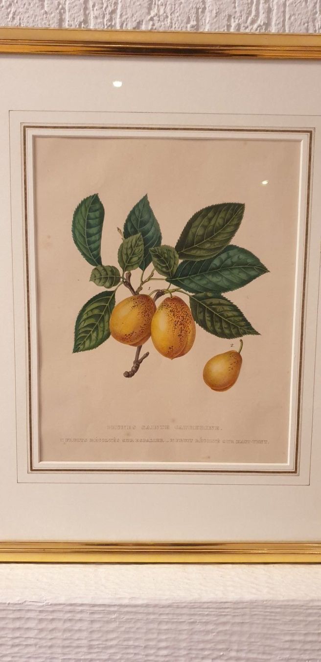 Incisioni: Stich um 1840 – Usato da Winterthur venduto da han_m89f 1