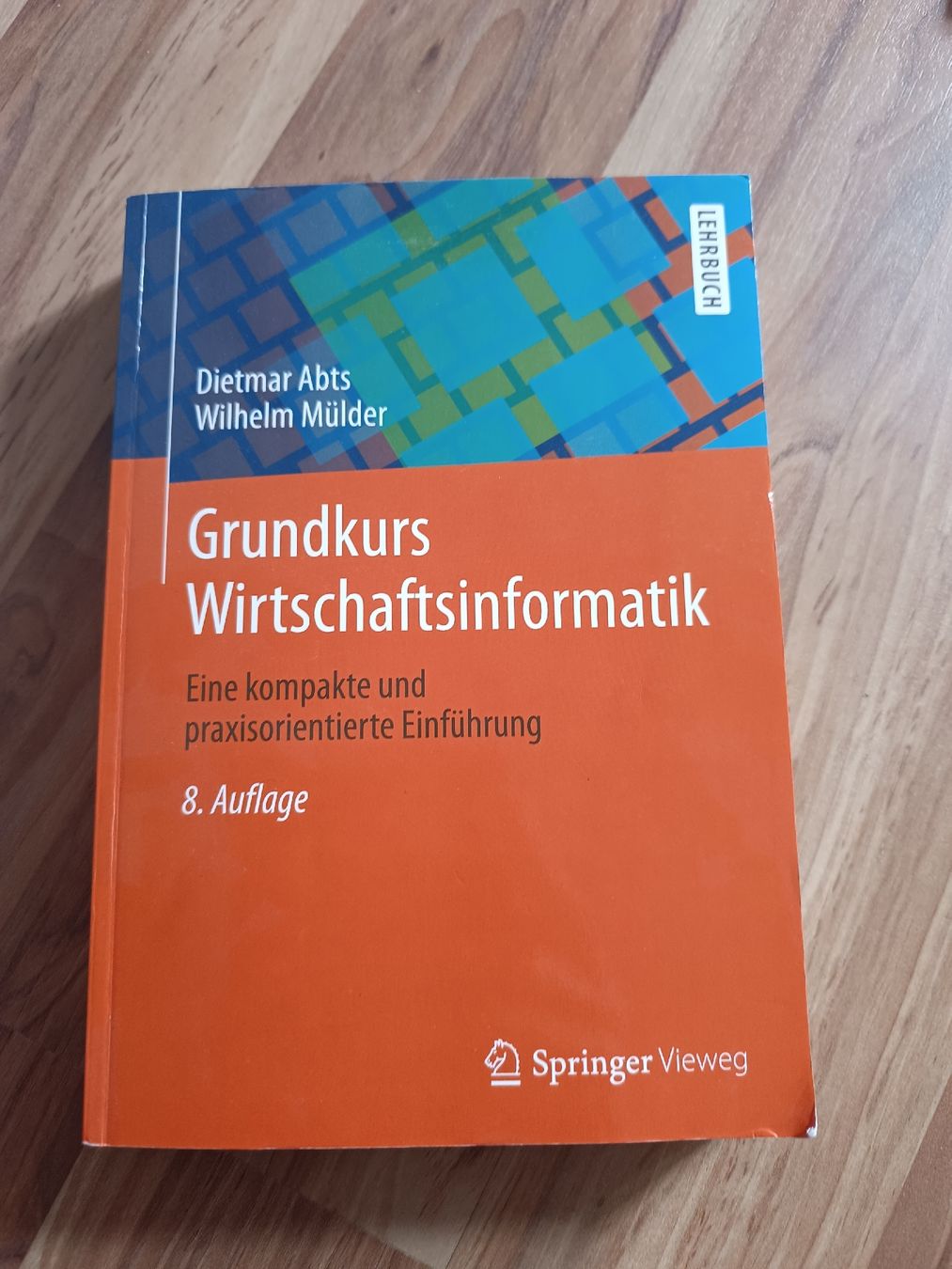 Libri: Grundkurs Wirtschaftsinformatik - Abts/Mülder, 8. Auflage – Usato da Aarwangen venduto da Byv7