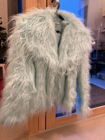 Taylor Swift Fur Coat Mint