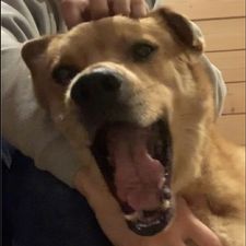 Profile image of le_on88