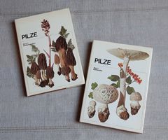 Pilze: Band 1 und Band 2 - Silva Verlag – 1972 !