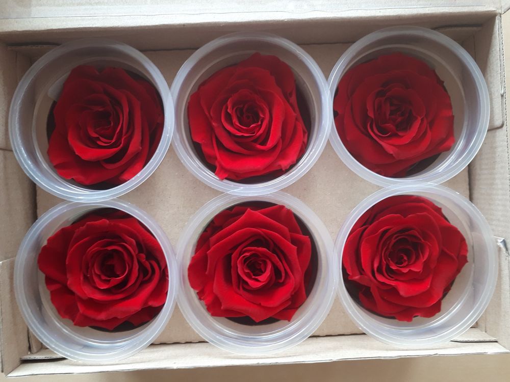 40 Künstliche Rosenköpfe 8,4 Cm – Seidenstoff, Ohne Stiel, Für DIY-Blumen, Basteln, Deko (Rosenrot)