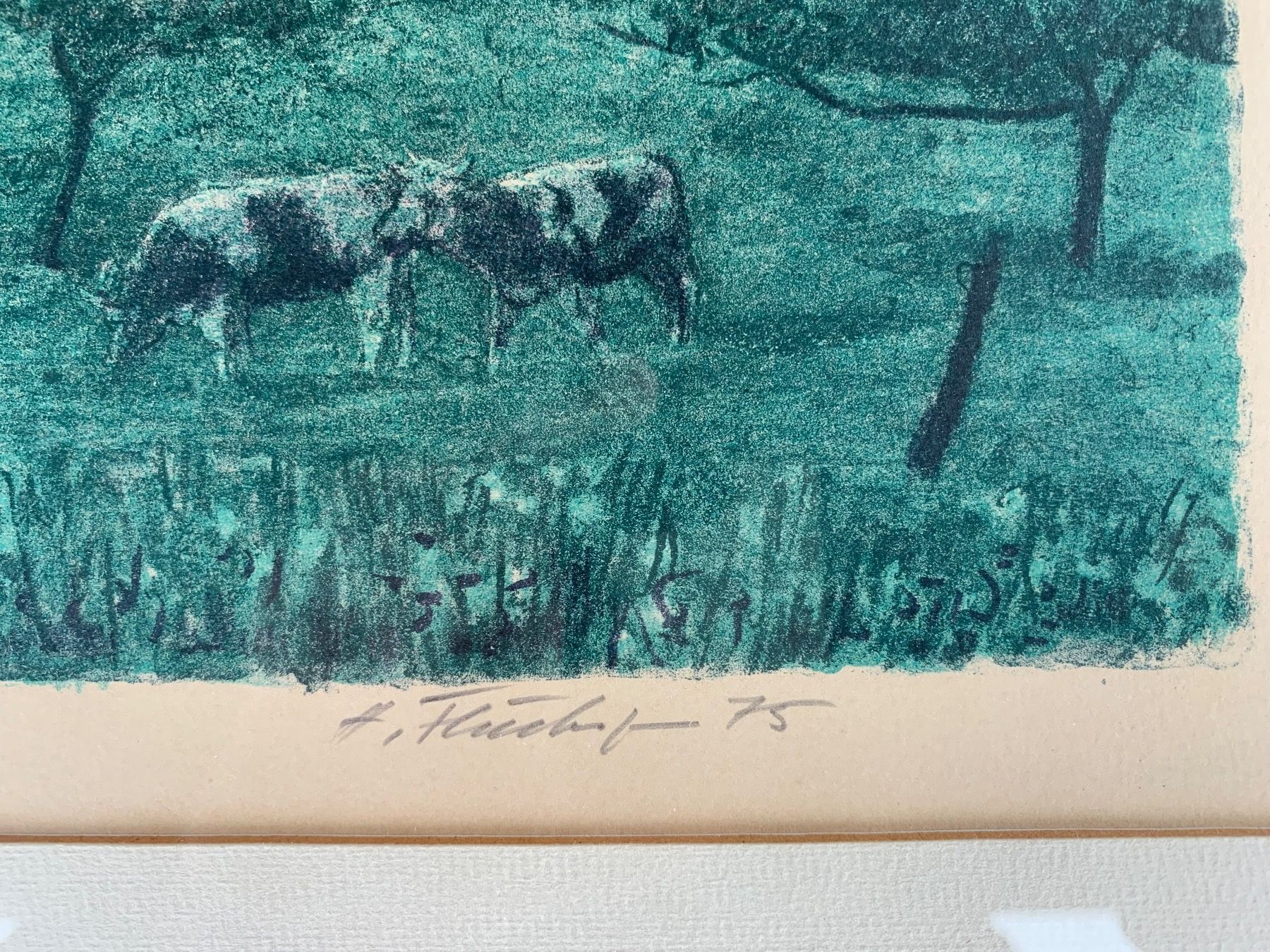 Campanacci mucche: schöne Lithographie von Hansjörg Flückiger – Usato da Feldbach venduto da Olive1 6