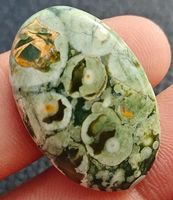 Cabochon L-9695 – Regenwald-Rhyolith 28.25 Karat 31x20x5mm