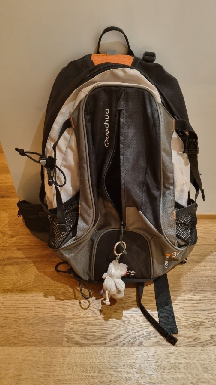 Backpack Forclaz 30 Quechua Forclaz 30 Air Hiking Backpack Great