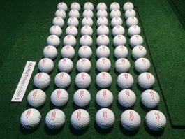 60 Golfbälle Titleist TruFeel (sehr schön) 2020-2024