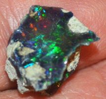 Edelstein L-7934– Schwarzer Welo Opal roh 4,70 Karat 14x11mm