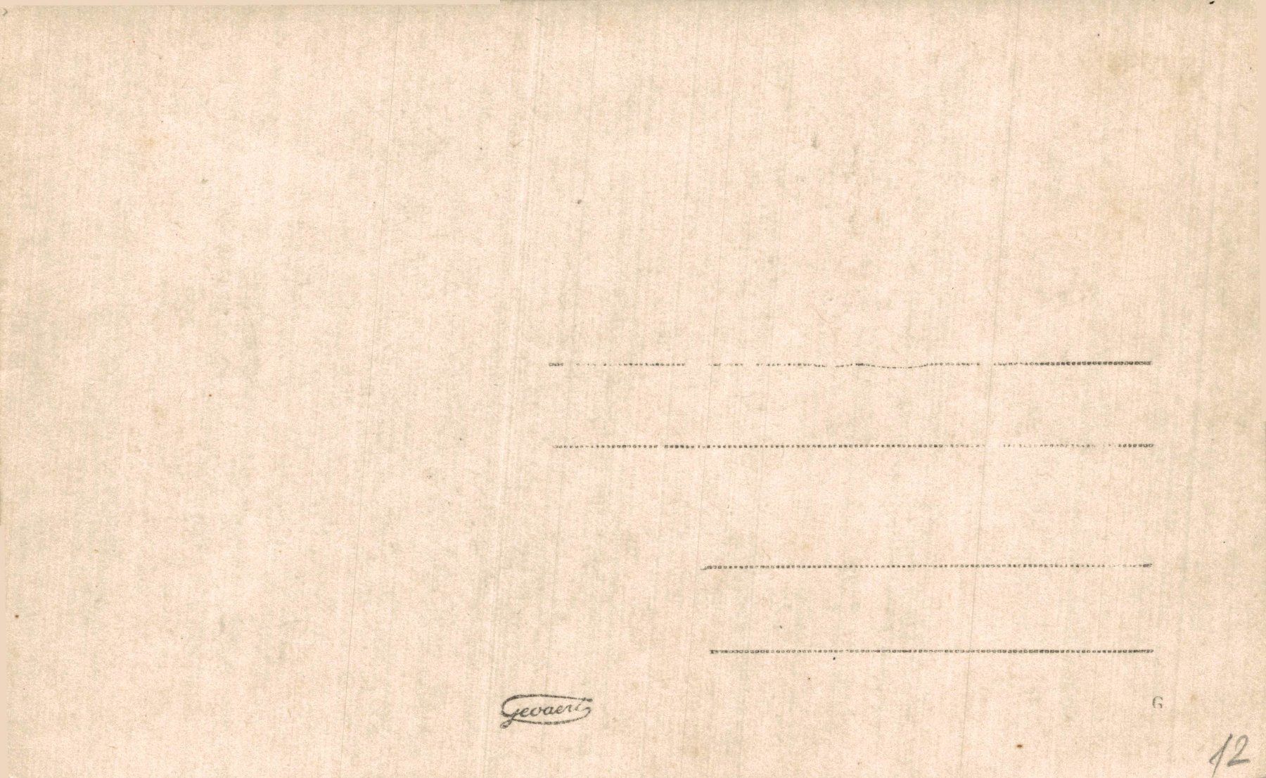 Cartoline postali: Familienfoto vor Ort mit Menschenmenge – Usato da Bronschhofen venduto da Astore 1