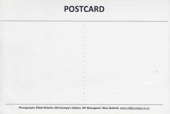 Cartoline postali: Celebrity Solstice, Celebrity Cruises – Usato da Zuerich venduto da OceanLinerPostcards 1