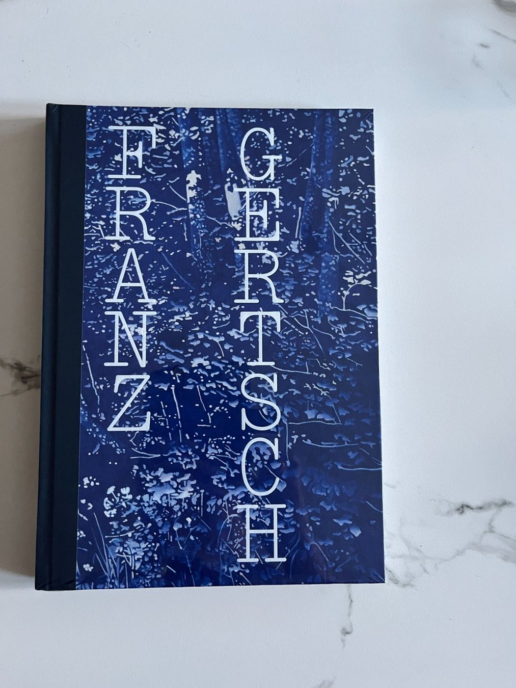 Libri: Franz Gertsch, Katalog 2026 – Nuovo e nell'imballaggio originale da Bern venduto da cubus01